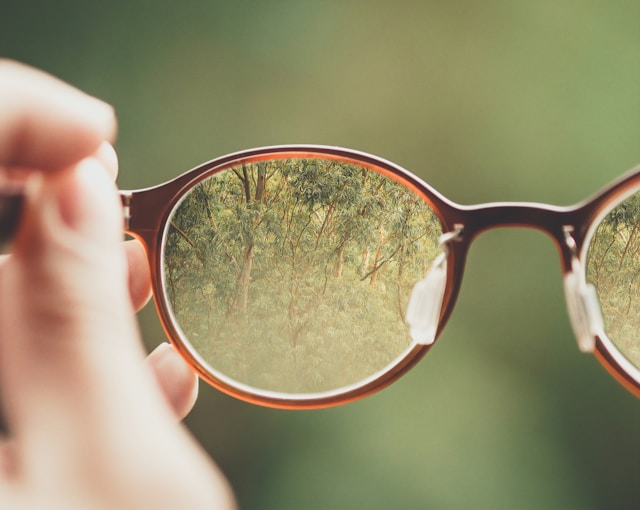 Gafas modelo